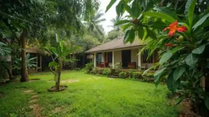 Landskap Halaman Rumah Kampung