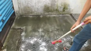 Cara Hilangkan Lumut di Lantai Simen
