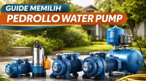 Pedrollo Water Pump